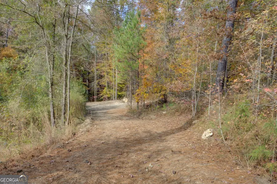 0 Herds Creek Road, Monticello, GA 31064 - Image #2