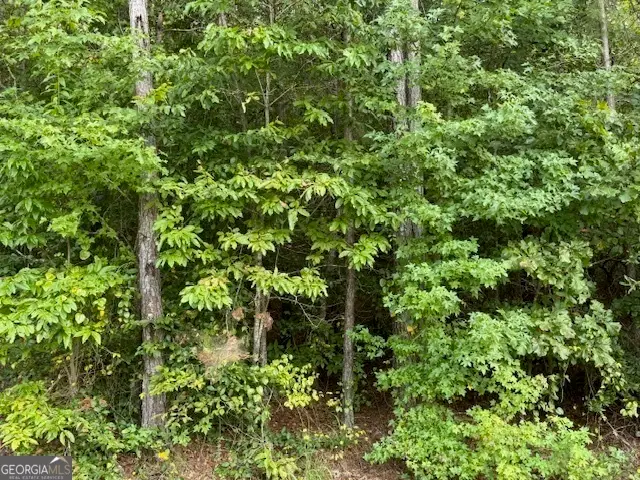 TK 7 Old Ridgeway Road, Bremen, GA 30110 - Image #2
