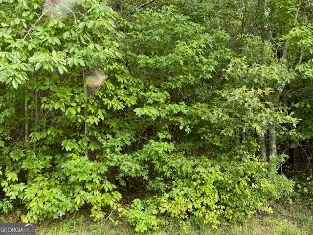 TK 10 Old Ridgeway Road, Bremen, GA 30110 - #2