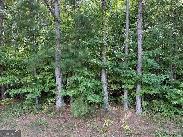 TK 9 Old Ridgeway Road, Bremen, GA 30110 - #2