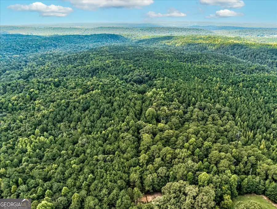 TK 1 Old Ridgeway Road, Bremen, GA 30110 - #3