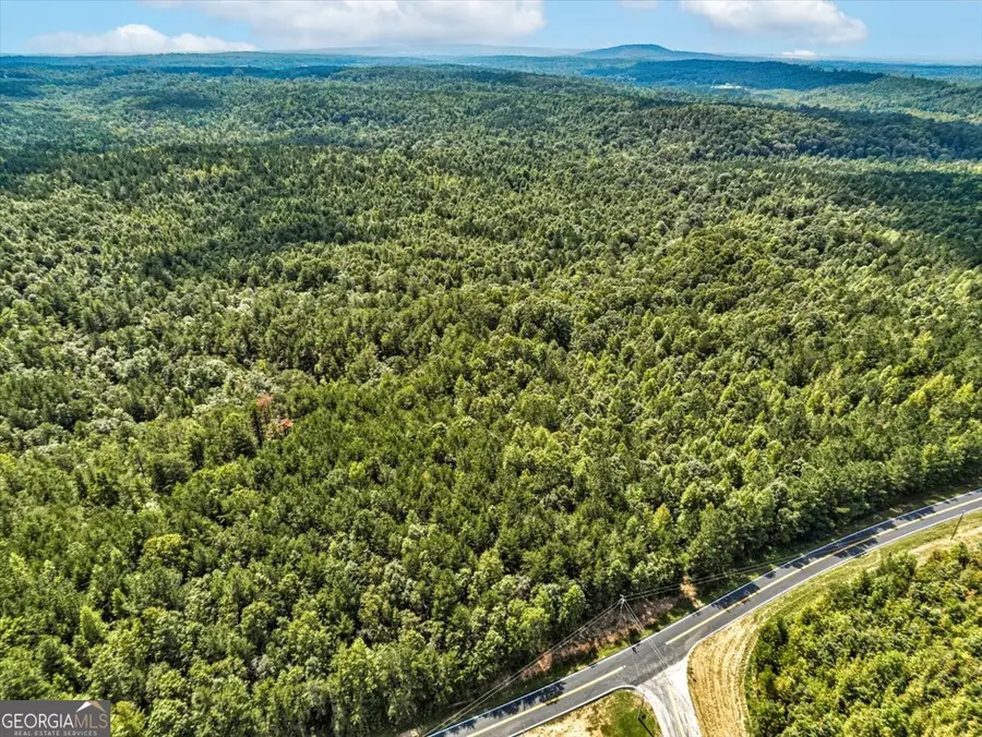 TK 8 Old Ridgeway Road, Bremen, GA 30110 - Image #3