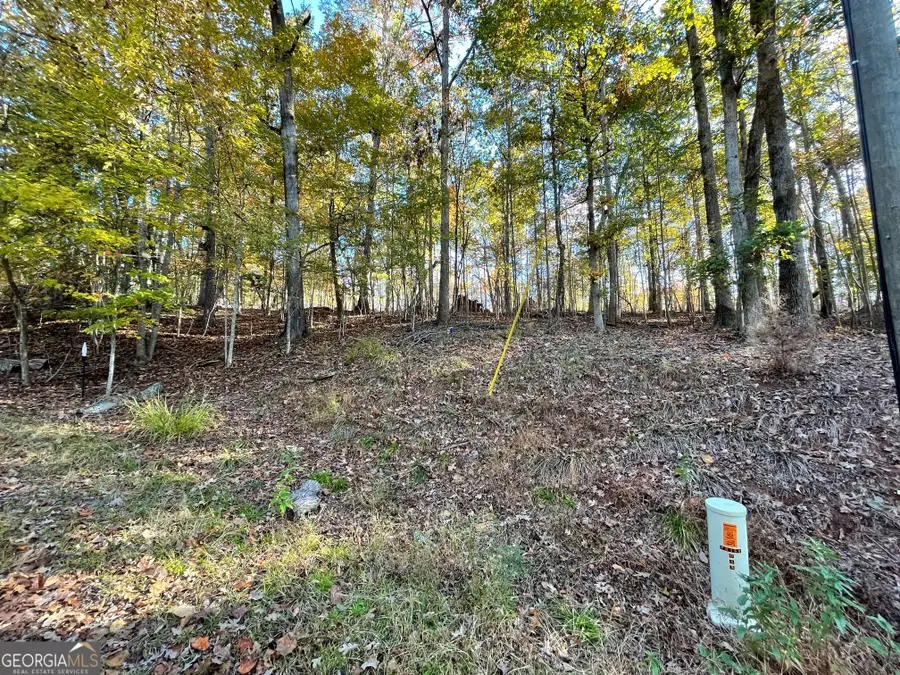 LOT 87 N Foxglove Road, Westminster, SC 29693 - Image #2