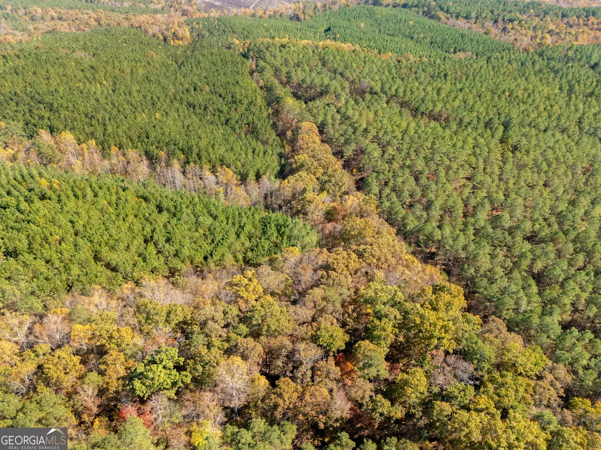 0 Gun Club Rd Off, Tallapoosa, GA 30176 - Image #1