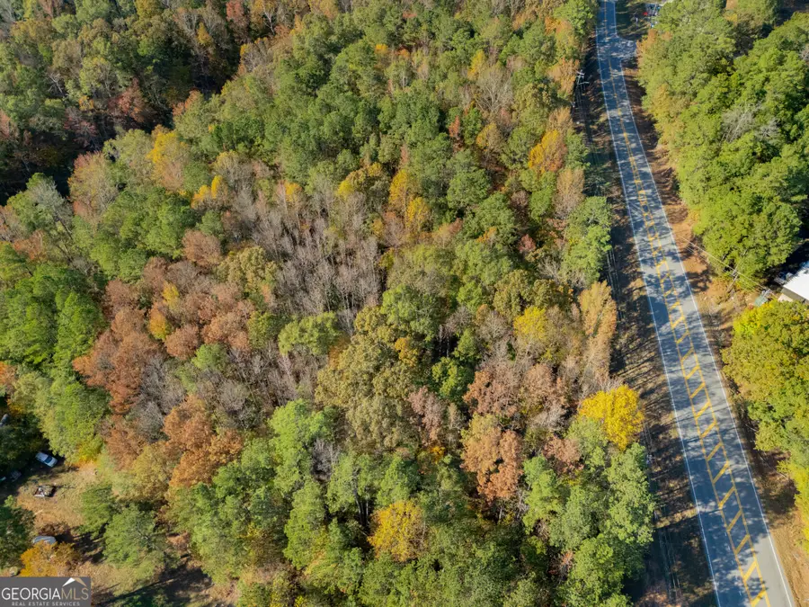 100 Highway, Tallapoosa, GA 30176 - Image #2