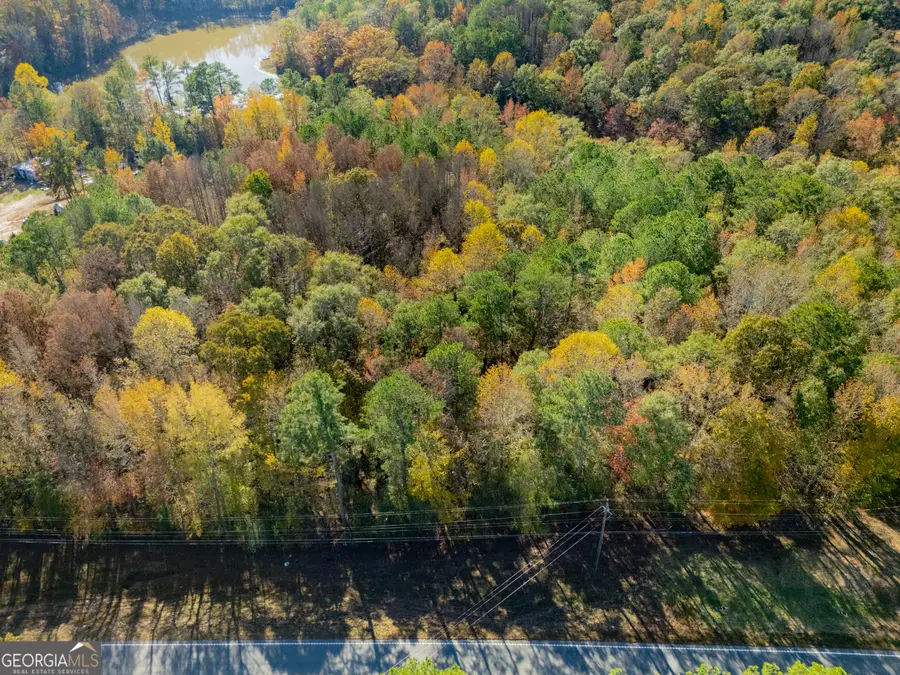 100 Highway, Tallapoosa, GA 30176 - Image #3