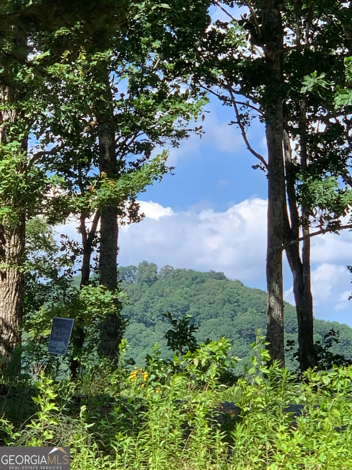 2046 Amy Creek Circle #34, Ellijay, GA 30540 - Image #1