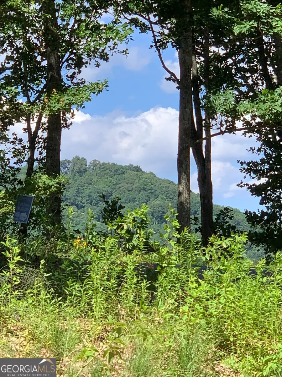 2046 Amy Creek Circle #34, Ellijay, GA 30540 - Image #2