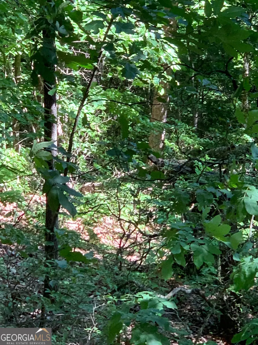 2046 Amy Creek Circle #34, Ellijay, GA 30540 - Image #3