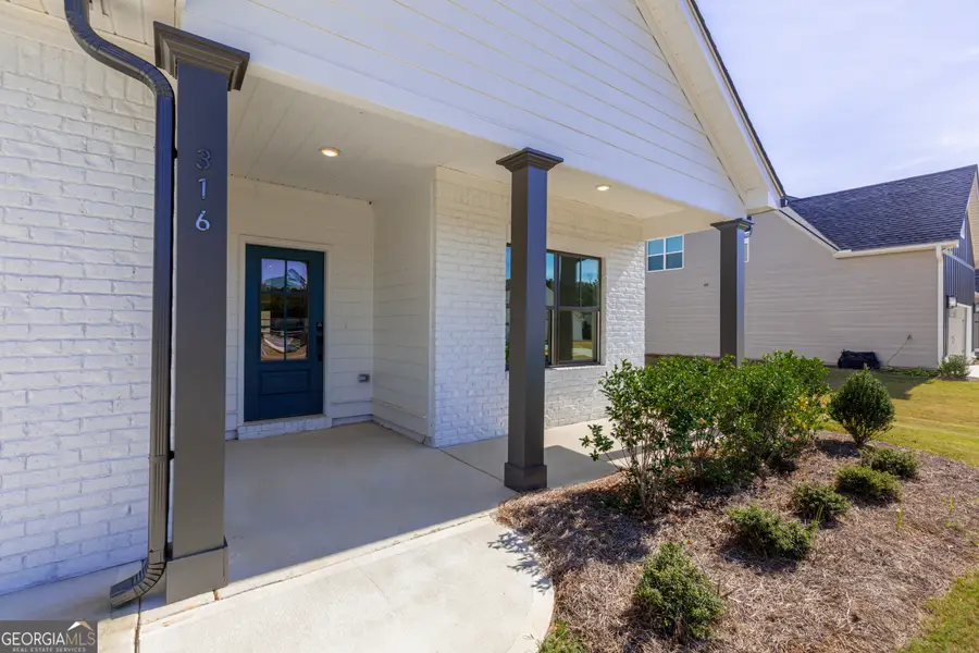316 Hammerstone Court, Senoia, GA 30276 - Image #3
