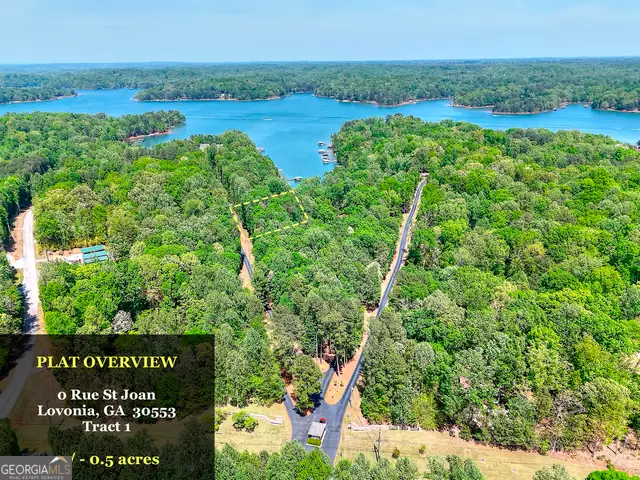 0 Rue St Joan, Lavonia, GA 30553 - Image #1