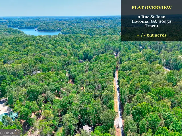 0 Rue St Joan, Lavonia, GA 30553 - Image #2