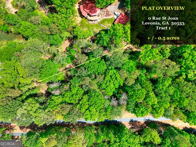 0 Rue St Joan, Lavonia, GA 30553 - Image #3