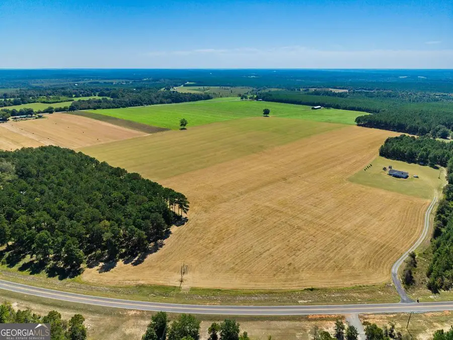 TRACT 1 Joe Wells Road, Buena Vista, GA 31803 - Image #2