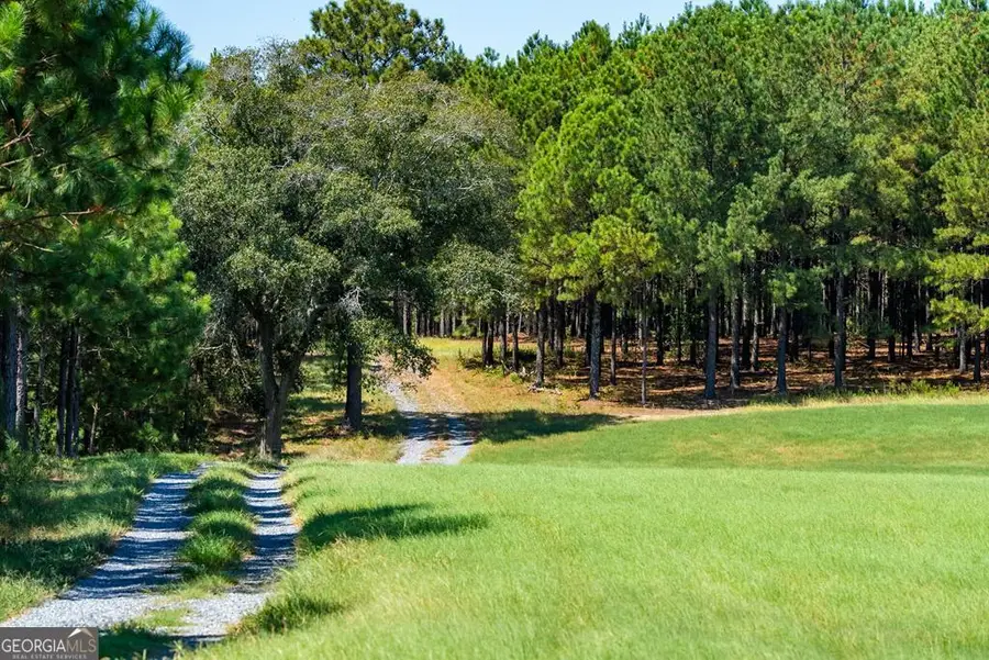 TRACT 1 Joe Wells Road, Buena Vista, GA 31803 - Image #3