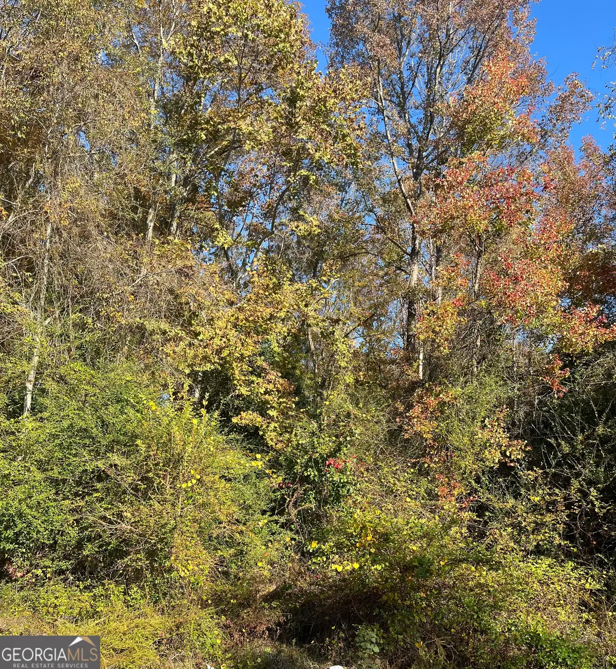 3446 Kingsview Circle, Macon, GA 31211 - Image #1