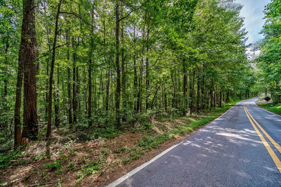 0 Borrow Pit Road, Douglasville, GA 30134 - Image #2