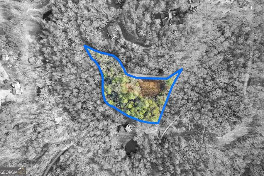 84 Spiva Cove Mtn. Trail, Blairsville, GA 30512 - Image #2