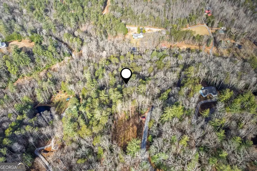 84 Spiva Cove Mtn. Trail, Blairsville, GA 30512 - Image #3