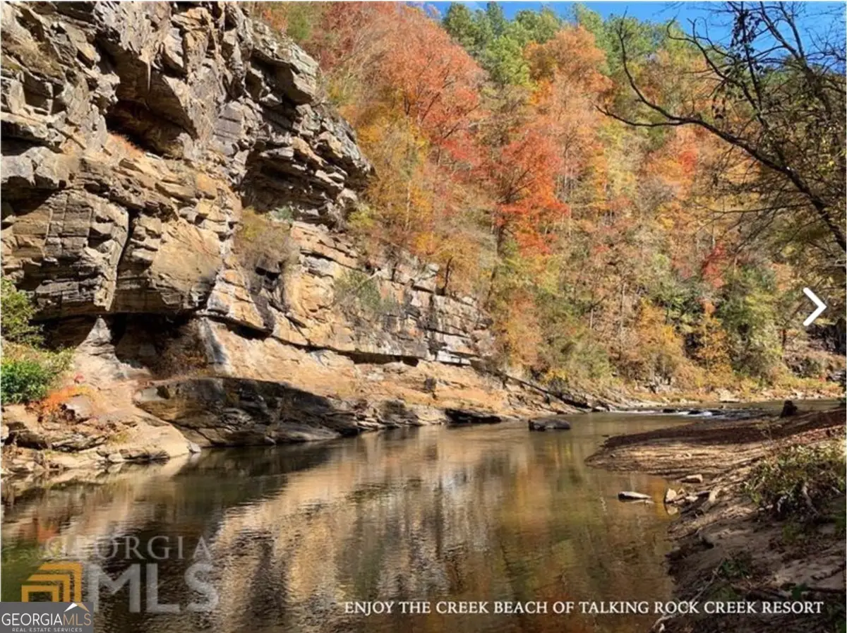 945 Longbranch Drive, Ranger, GA 30734 - Image #1