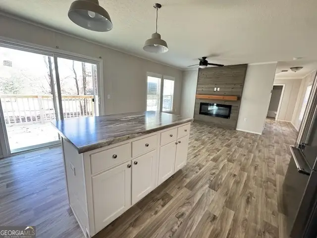 1303 Mitchell Circle, Summerville, GA 30747 - Image #2