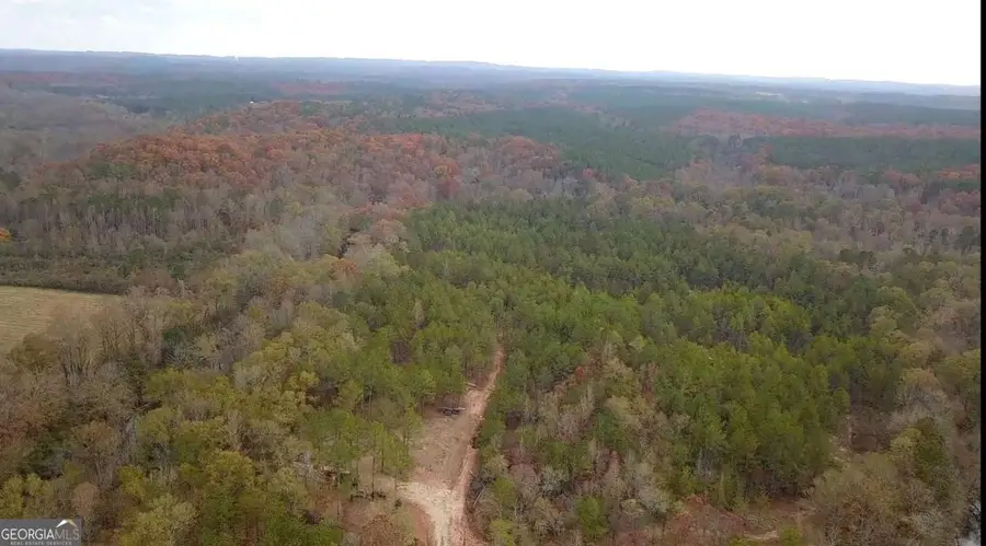 702 Liner Road, Tallapoosa, GA 30176 - Image #3