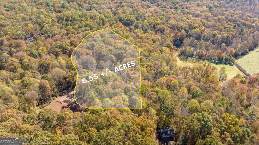 1010 Meadowview Ridge, Clarkesville, GA 30523 - Image #3