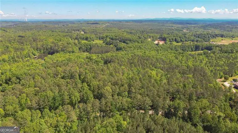 676 High Shoals Road, Dallas, GA 30132 - #2