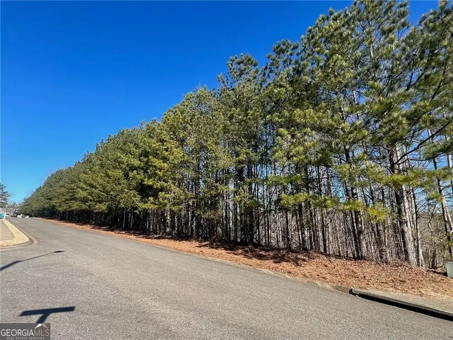 920 Whistler Lane #68, Canton, GA 30114 - Image #3