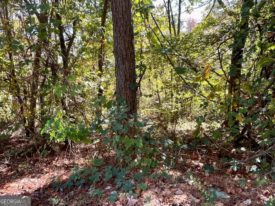 0 Lavender Trail, Rome, GA 30165 - Image #3