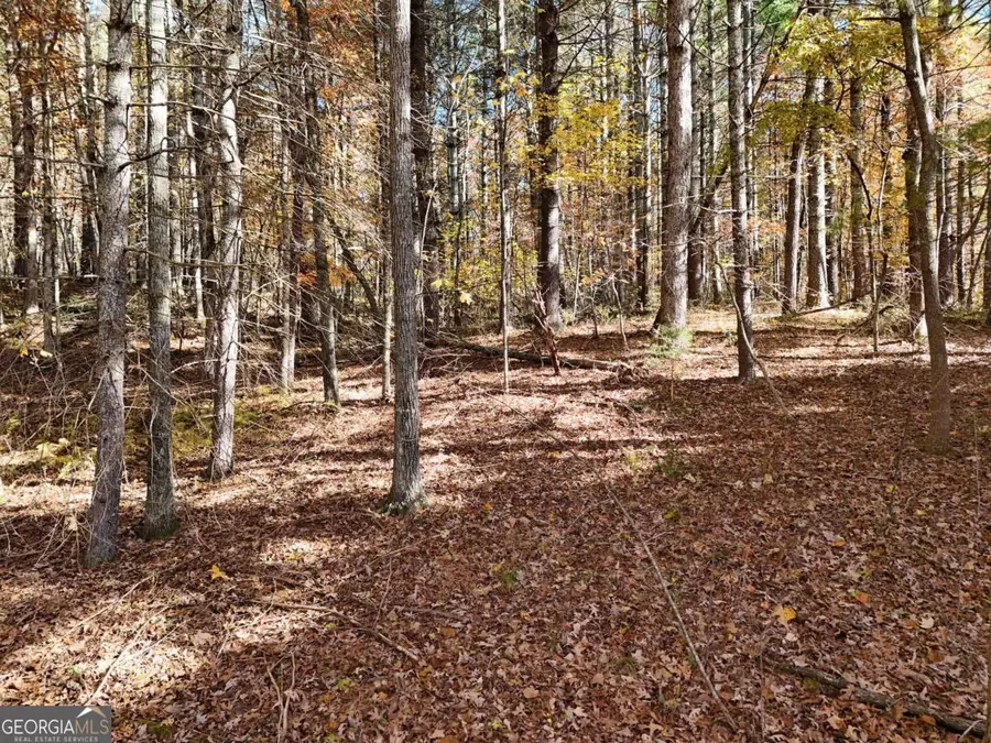 20 AC Odom Road, Blairsville, GA 30512 - Image #2