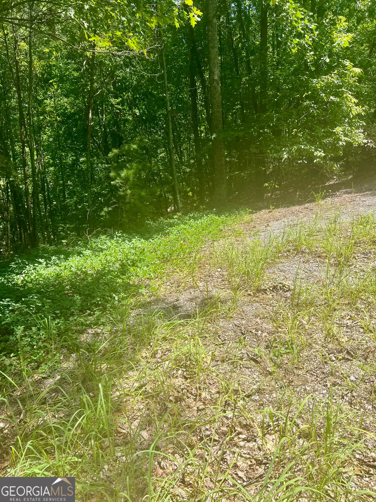 709 Railey Ridge, Ranger, GA 30734 - Image #1