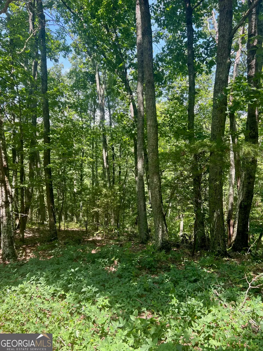 709 Railey Ridge, Ranger, GA 30734 - Image #2