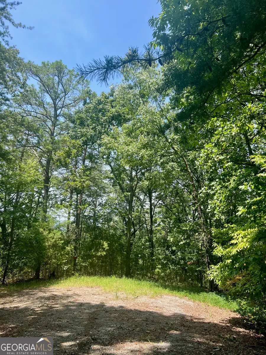 709 Railey Ridge, Ranger, GA 30734 - Image #3