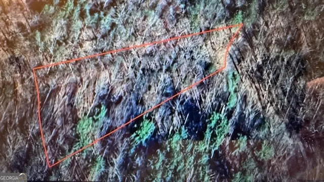 LOT 145 Alcan Way, Ellijay, GA 30540 - Image #2