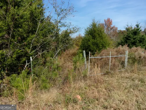 0 River Road, Carlton, GA 30627