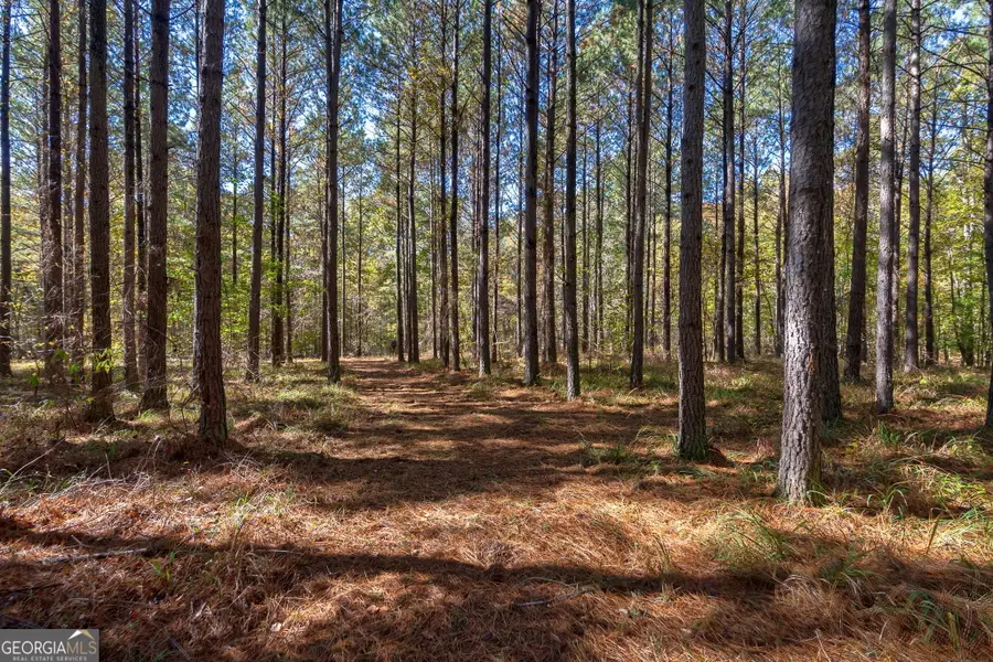 1321 Shepherd Road, Madison, GA 30650 - Image #2