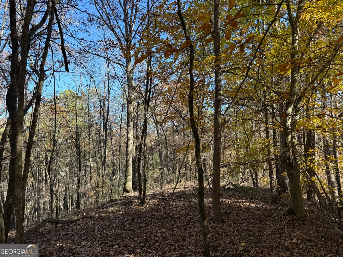 0 Whitestone Road, Talking Rock, GA 30175 - Image #1