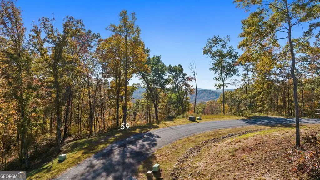 LOT 59 Ridge Line Trail, Ellijay, GA 30540 - Image #1
