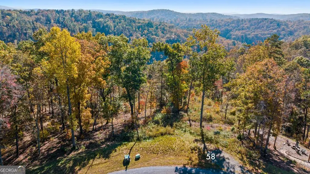 LOT 58 Ridge Line Trail, Ellijay, GA 30540 - Image #1