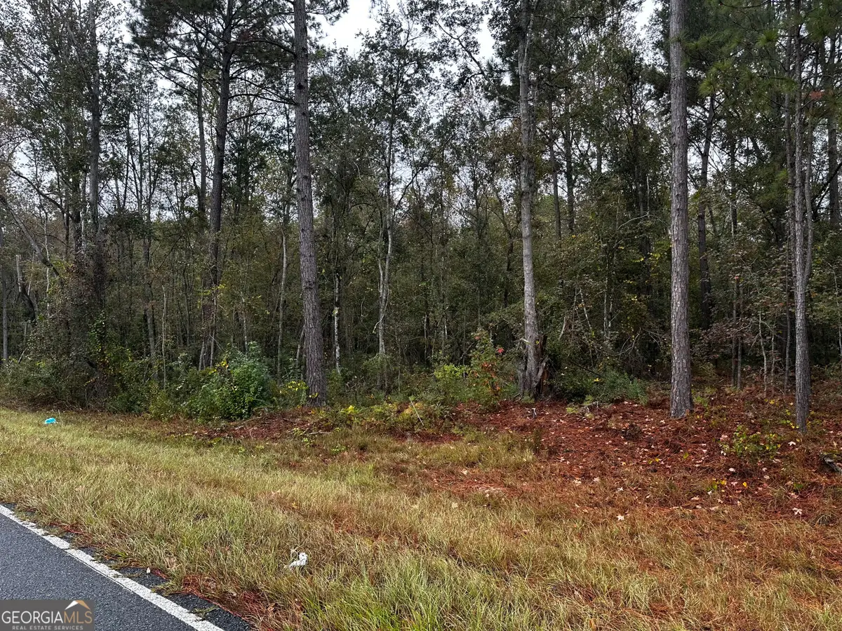 0 Erick Road, Alamo, GA 30411 - Image #1