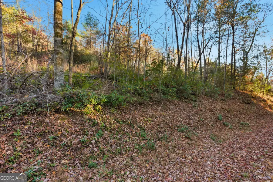 201 Spookhaven Lane, Clarkesville, GA 30523 - Image #3