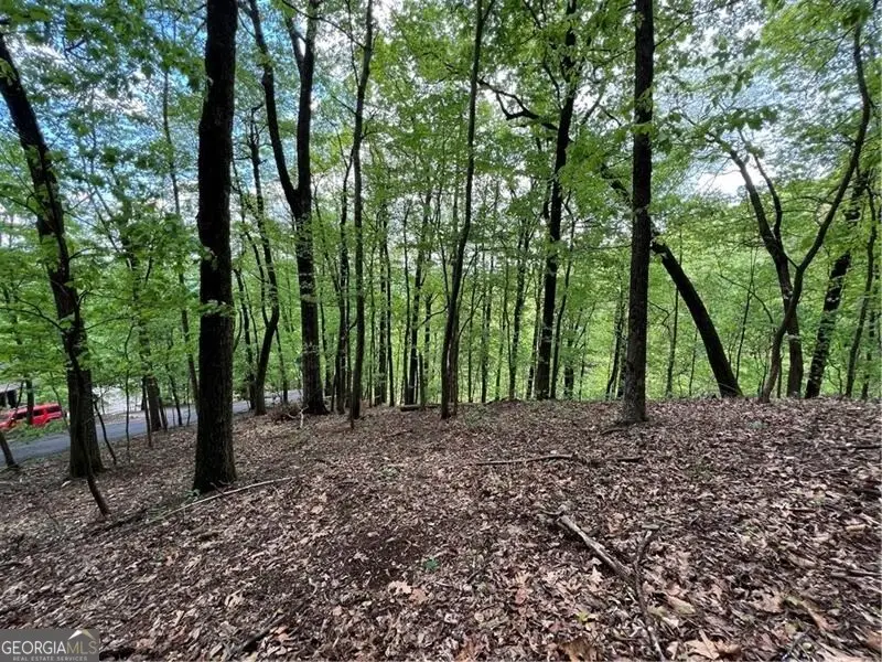 0 Valley View Drive, Jasper, GA 30143 - Image #2