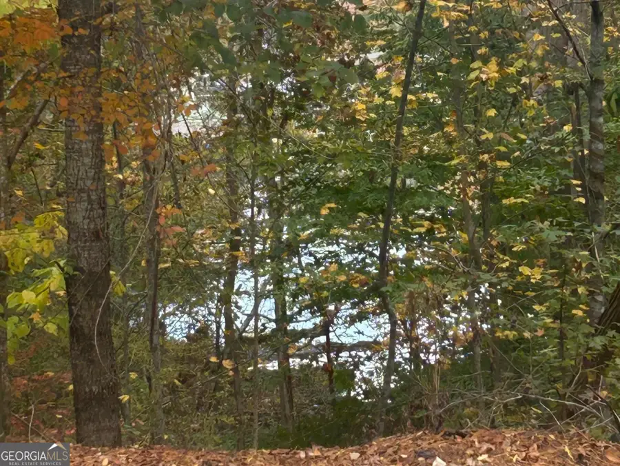 LOT 36 Crestview Lane, Jackson, GA 30233 - Image #3