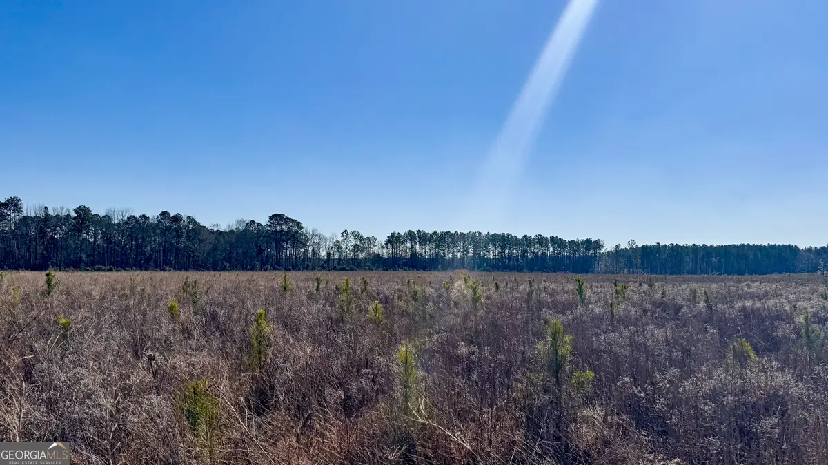 0 Highway 301 #15, Statesboro, GA 30461 - Image #1