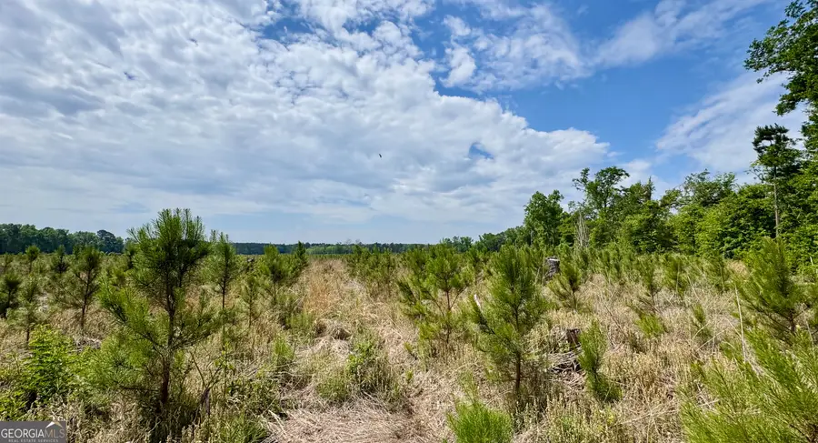 0 Highway 301 #15, Statesboro, GA 30461 - Image #3