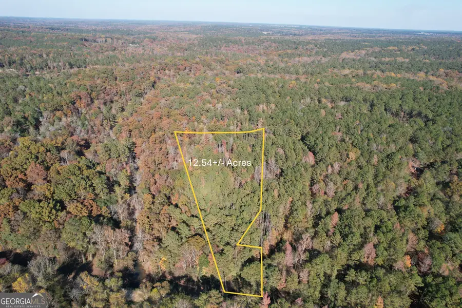 1503 Mcdonald Road, Covington, GA 30014 - Image #3