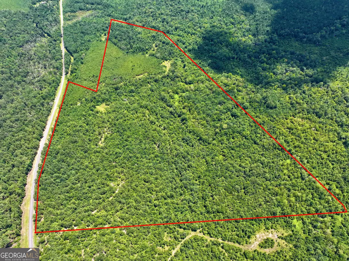 0 Liberty Grove Church Road, Wrightsville, GA 31096 - Image #1