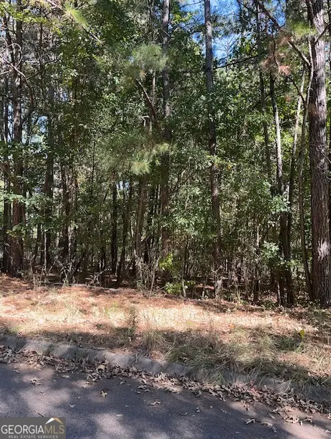 336 Wynterhall Drive, Griffin, GA 30224 - Image #1