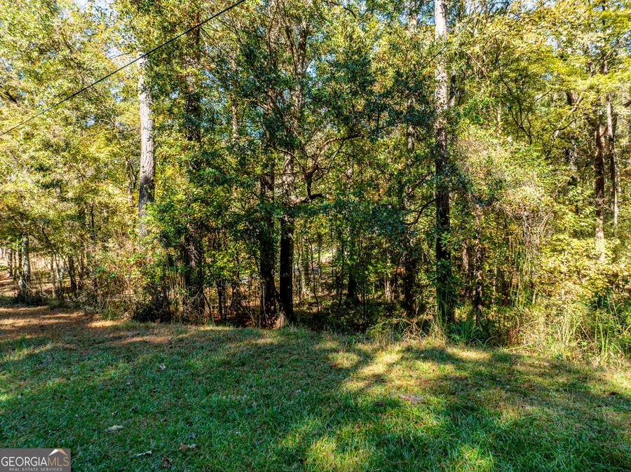 1151 Caboose Court, Greensboro, GA 30642 - Image #2
